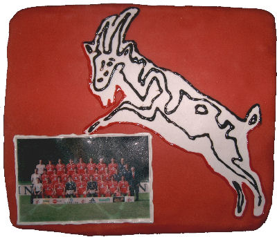 fc-torte-eckig-klein-03